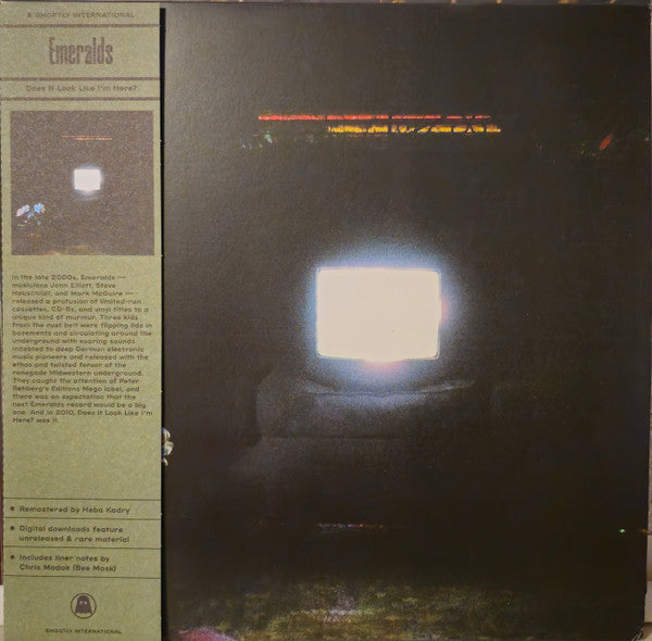 EMERALDS - DOES IT LOOK LIKE I'M HERE? (2LP)