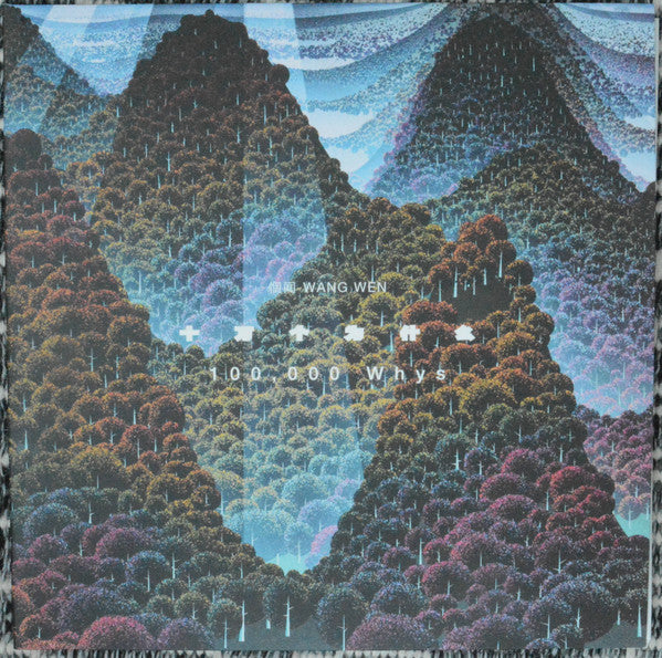 WANG WEN - 100,000 WHYS (2LP)