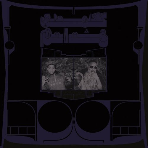 SHABAZZ PALACES - EXOTIC BIRDS OF PREY (TRANSLUCENT WHITE VINYL)