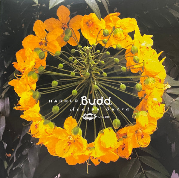 BUDD HAROLD - AVALON SUTRA (3LP/BONUS TRACK/LIMITED)