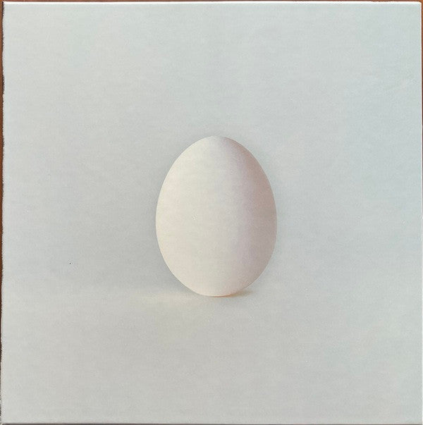 WILCO - GHOST IS BORN (DELUXE/9LP/4CD BOX SET)