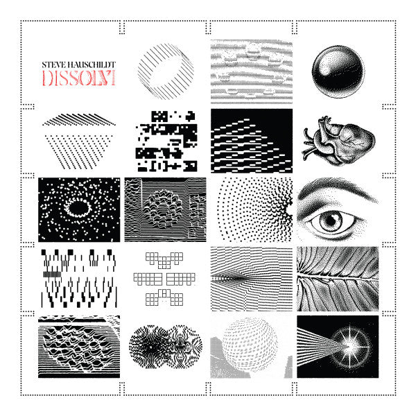 HAUSCHILDT,STEVE - DISSOLVI