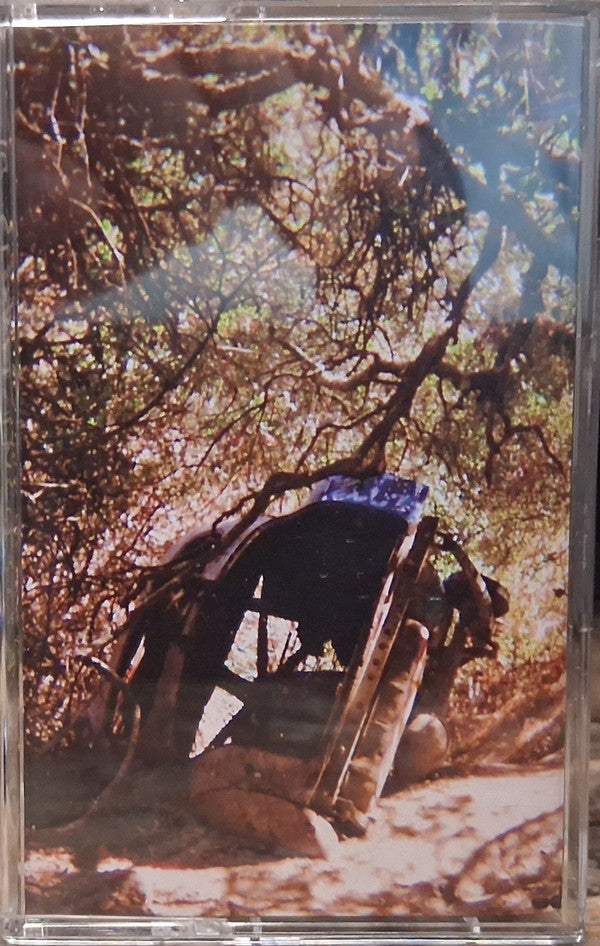 SEGALL,TY - POSSESSION