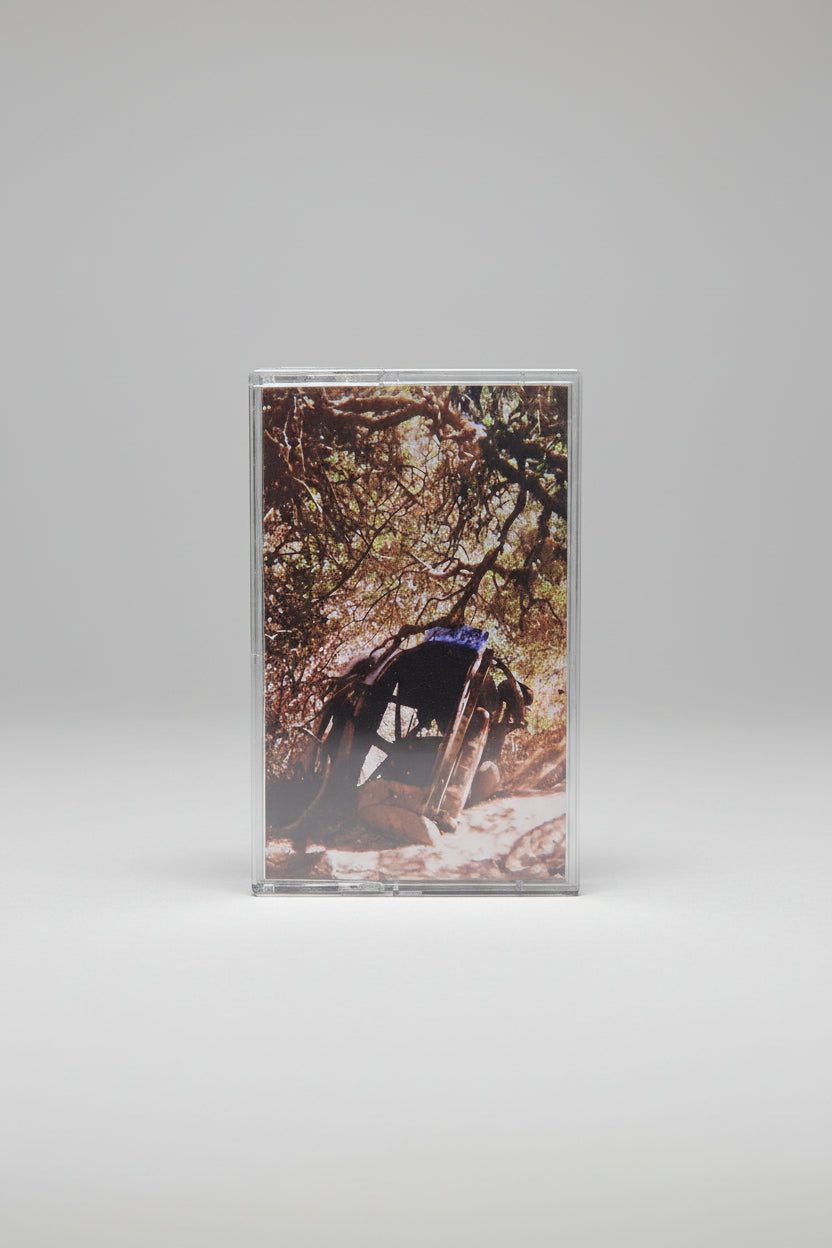 SEGALL,TY - POSSESSION