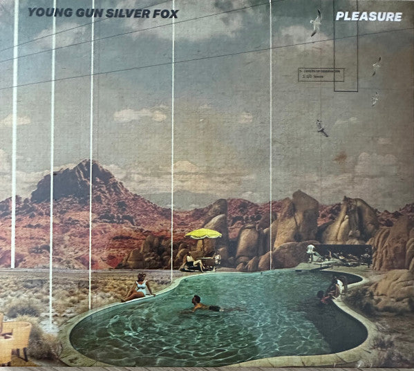 YOUNG GUN SILVER FOX - PLEASURE