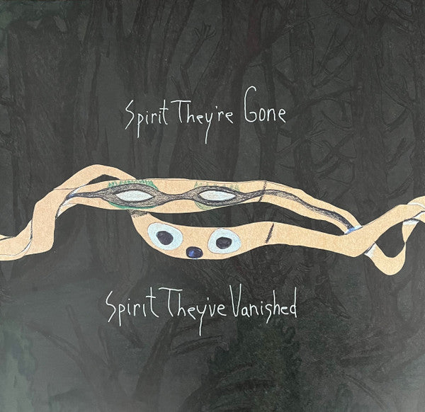 ANIMAL COLLECTIVE - SPIRIT THEY'RE GONE, SPIRIT THEY'VE VANISHED (2LP)