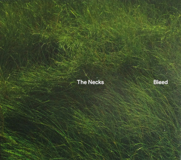 NECKS - BLEED