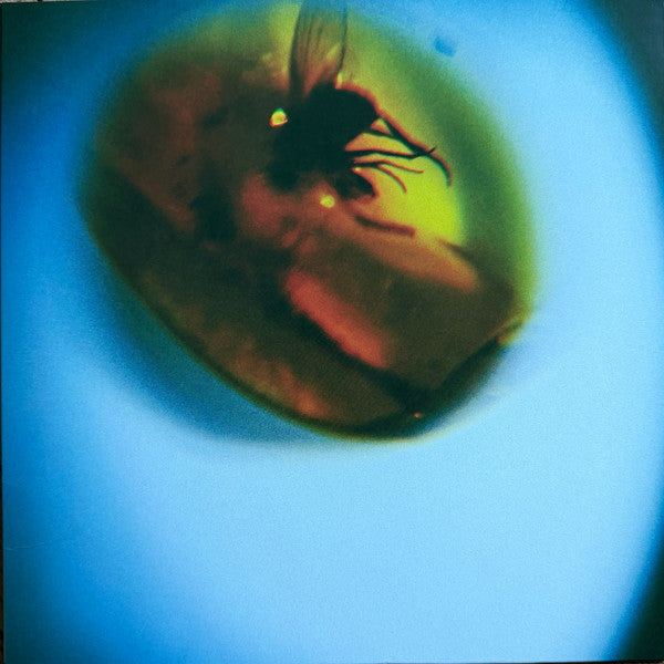 APRIL + VISTA - TRADITIONAL NOISE (TRANSLUCENT FLY GREEN VINYL)