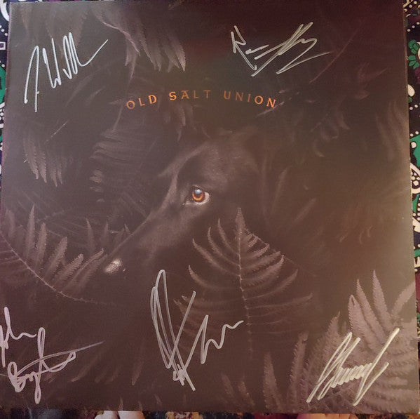OLD SALT UNION - WHERE THE DOGS DON'T BITE