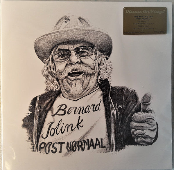 JOLINK,BENNIE - BERNARD JOLINK: POST NORMAAL (180G/GATEFOLD/BOOKLET)