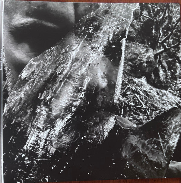 TAAKE - EN SKOG AV NIDSTANG