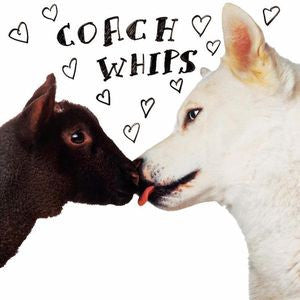 COACHWHIPS - BANGERS VS. FUCKERS