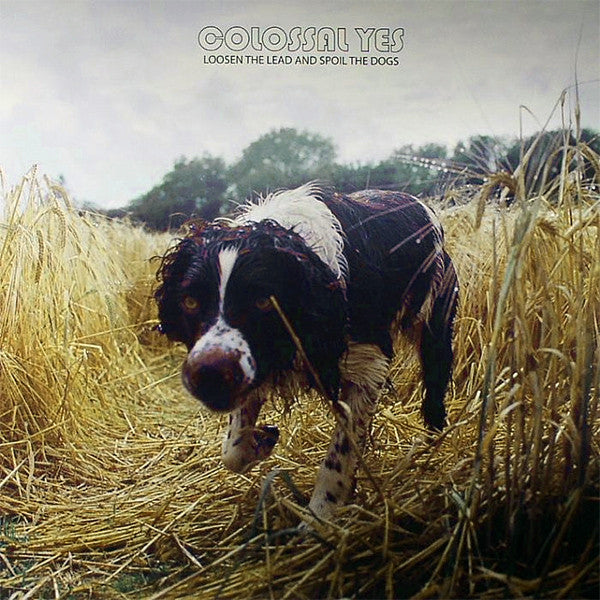 COLOSSAL YES - LOOSEN THE LEAD & SPOIL THE DOGS