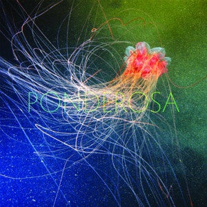 PONDEROSA - POOL PARTY