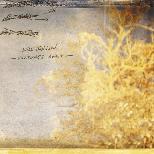 JOHNSON,WILL - VULTURES AWAIT (2LP/GATEFOLD)