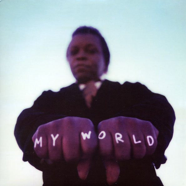 FIELDS,LEE & THE EXPRESSIONS - MY WORLD