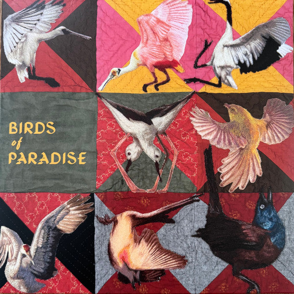 DOLLBAUM THOMAS - BIRDS OF PARADISE