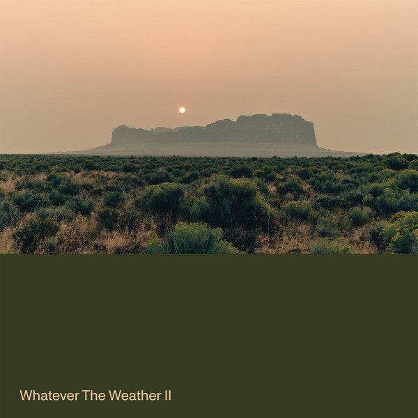 WHATEVER THE WEATHER - WHATEVER THE WEATHER II (DARK GREEN VINYL)