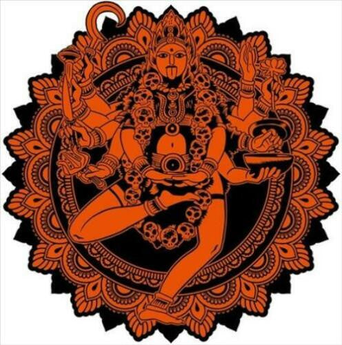 GRITNESS ACOUSTRONICS - MAHAKALI - THE MUSIC OF DON CHERRY