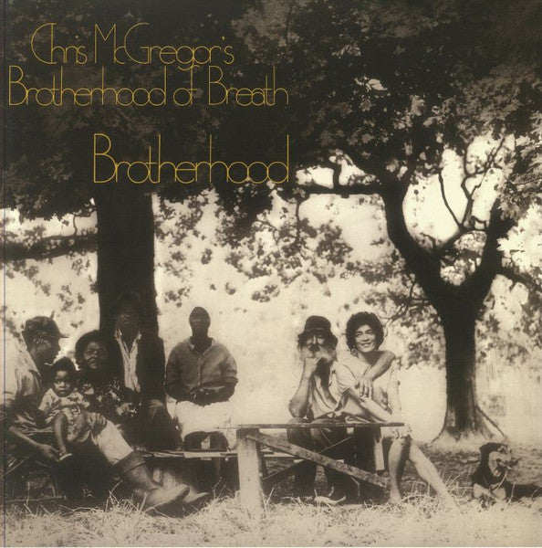 MCGREGOR,CHRIS BROTHERHOOD OF BREATH - BROTHERHOOD (COLOURED VINYL)