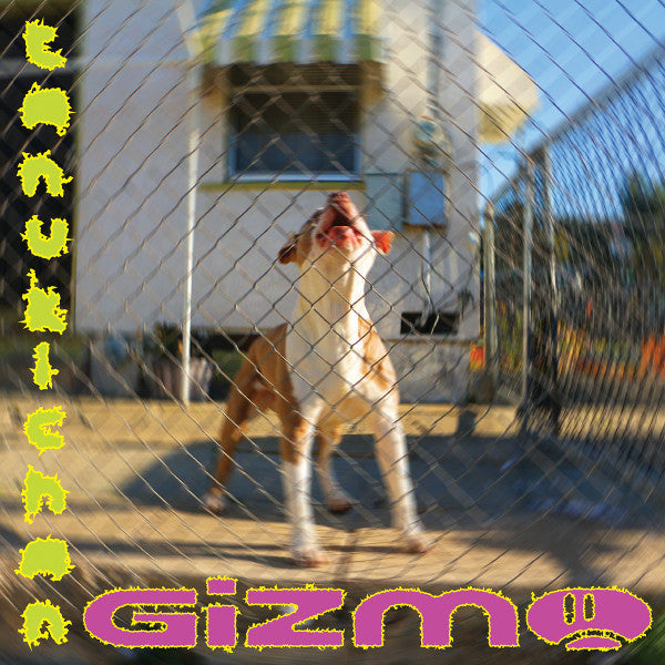 TANUKICHAN - GIZMO