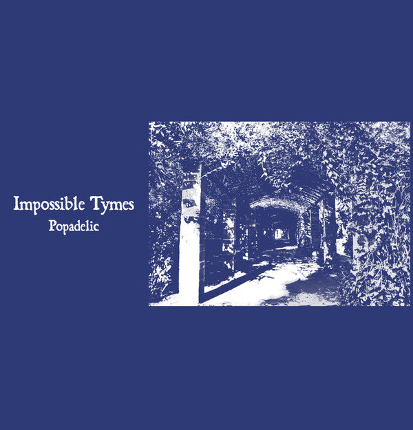 IMPOSSIBLE TYMES - POPADELIC
