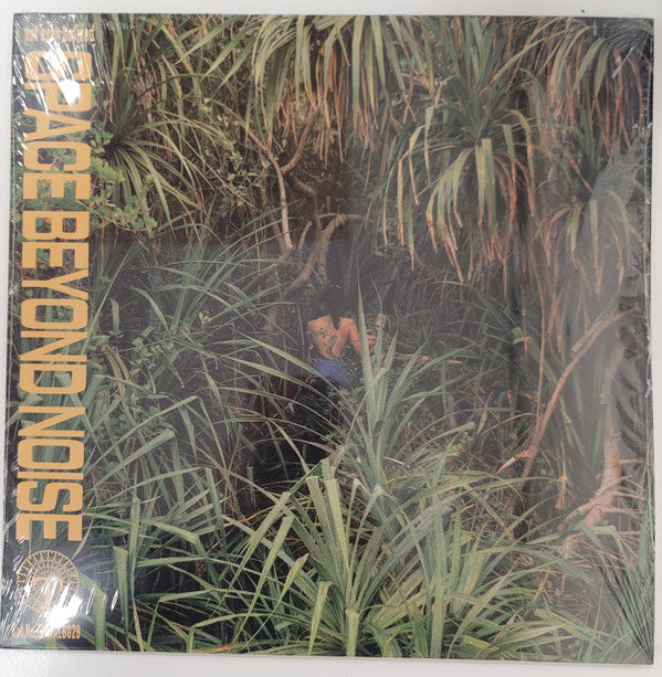 NOT EVEN NOTICED - SPACE BEYOND NOISE