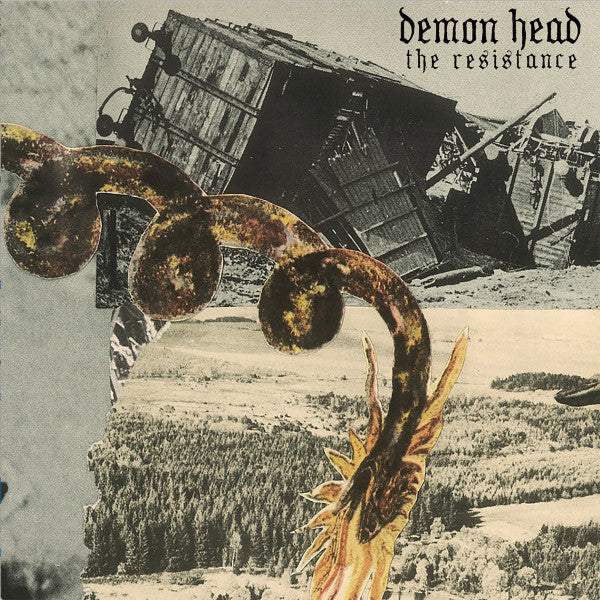 DEMON HEAD - RESISTANCE