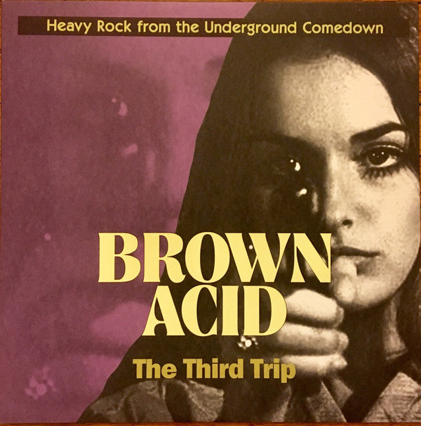 VARIOUS ARTISTS - BROWN ACID: THE THIRD TRIP