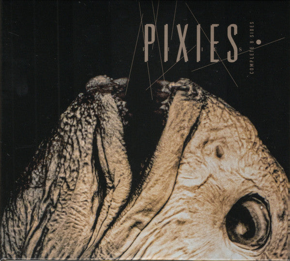PIXIES - COMPLETE B SIDES: 1988-97 (2CD)