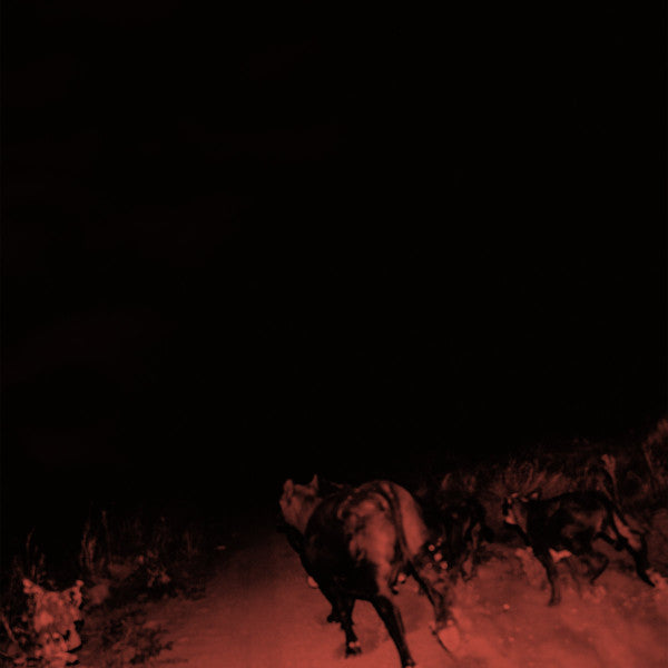 BAMBARA - SHADOW ON EVERYTHING