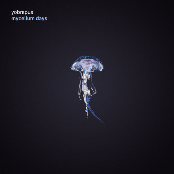 YOBREPUS - MYCELIUM DAYS