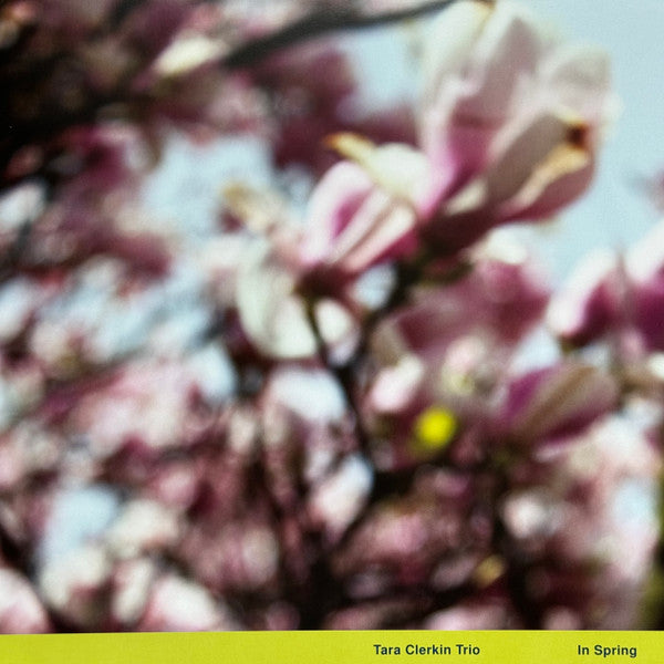 CLERKIN,TARA TRIO - IN SPRING