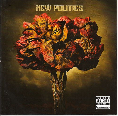 NEW POLITICS - NEW POLITICS