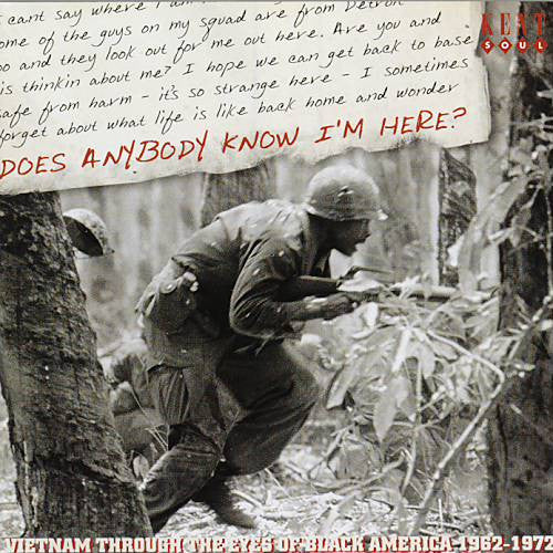 VARIOUS ARTISTS - DOES ANYBODY KNOW I'M HERE: VIETNAM THROUGH / VARIOUS
