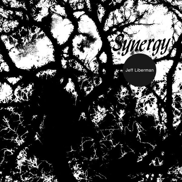 LIBERMAN,JEFFERY - SYNERGY