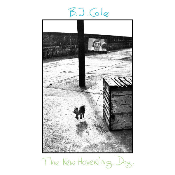 COLE,BJ - NEW HOVERING DOG