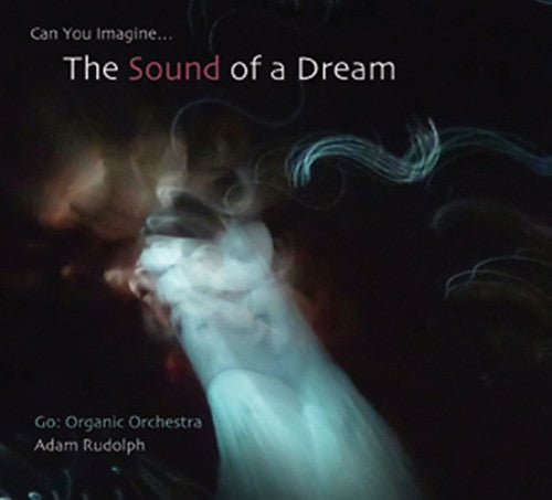 RUDOLPH,ADAM - GO: ORGANIC ORCHESTRA-CAN YOU IMAGINE-SOUND OF A DREAM