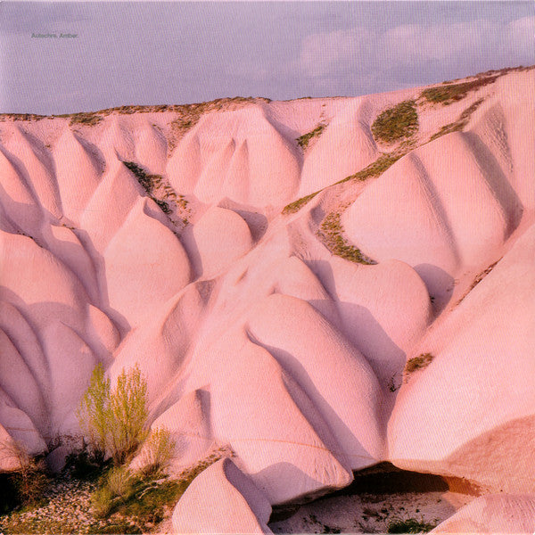 AUTECHRE - AMBER