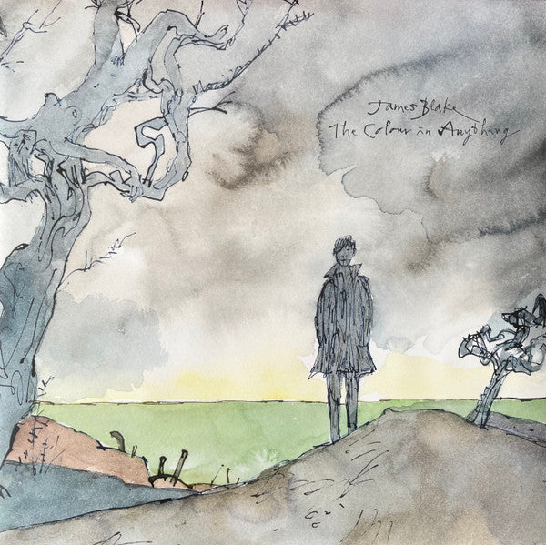 BLAKE,JAMES - COLOR IN ANYTHING