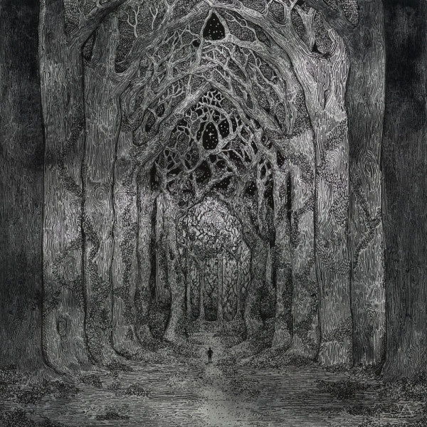 NHOR - WITHIN THE DARKNESS BETWEEN THE STARLIGHT (180G)