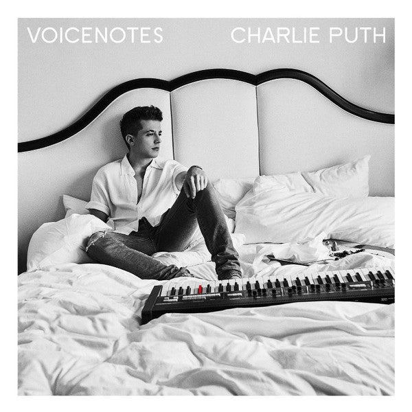 PUTH CHARLIE - VOICENOTES