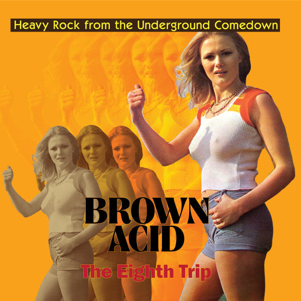 VARIOUS ARTISTS - BROWN ACID: THE EIGHTH TRIP
