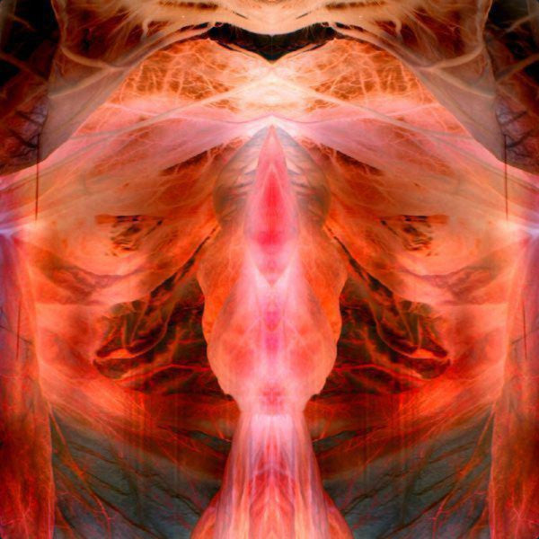 SCHUTZE,PAUL - ANNIHILATING ANGEL; OR, THE SURFACE OF THE WORLD