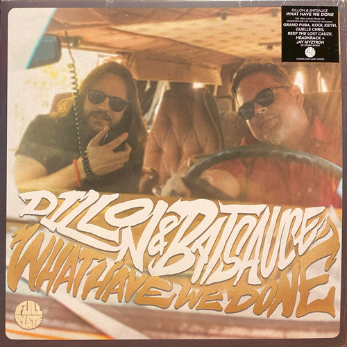 DILLON & BATSAUCE - WHAT HAVE WE DONE