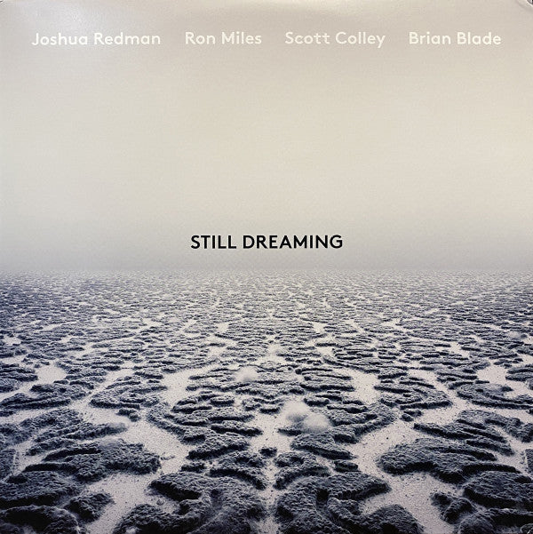 REDMAN JOSHUA - STILL DREAMING