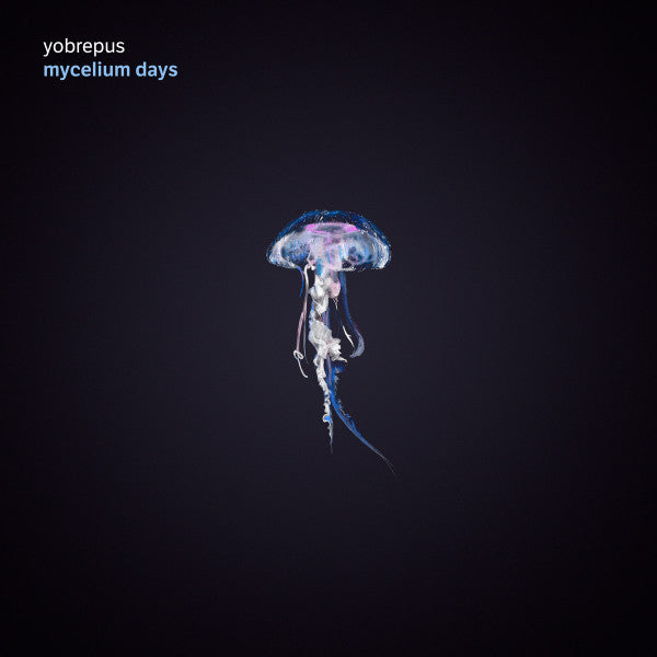 YOBREPUS - MYCELIUM DAYS