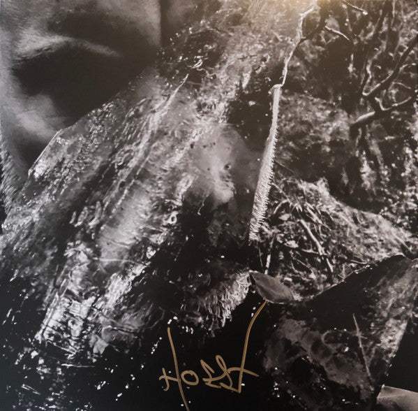 TAAKE - EN SKOG AV NIDSTANG (CLEAR VINYL)