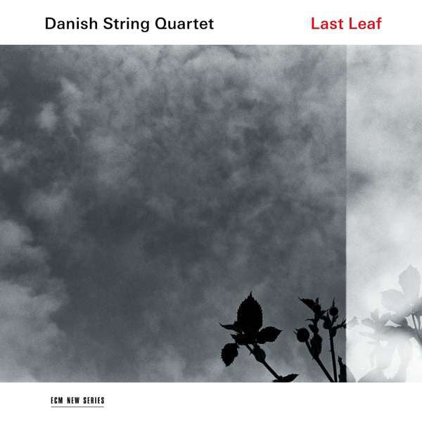 DANISH STRING QUARTET - LAST LEAF