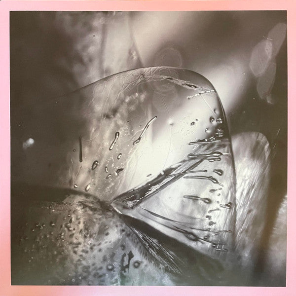 LOSCIL - CLARA